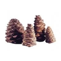 Peterson - PC-4 - Pine Cones - 4 assorted sizes